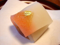 �g�� �猩��