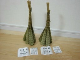 ���܂��P��