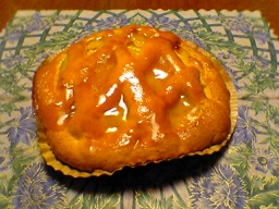 �|�e�g�A�b�v���p�C