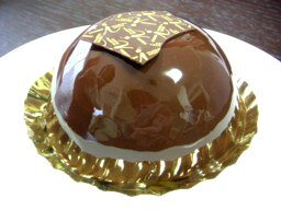 �h�[�� �V���R��