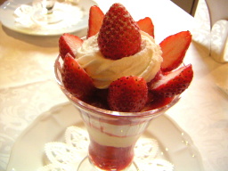 �X�g���x���[�p�t�F